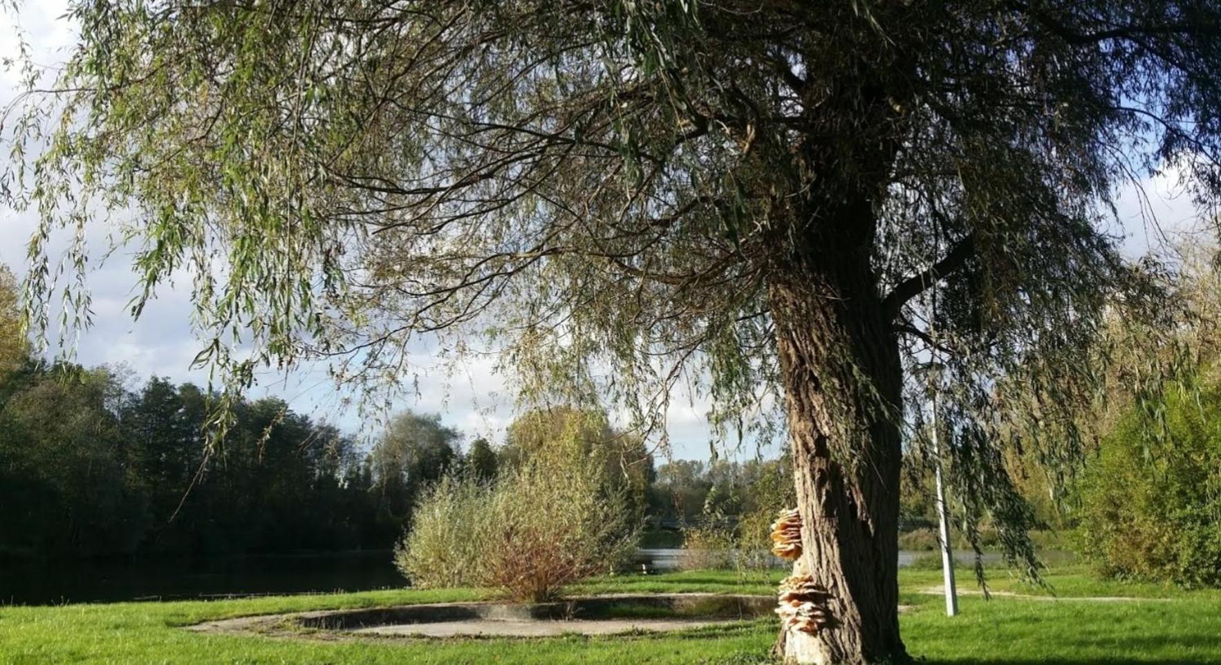 A La Vielle Halle Souppes-sur-Loing Buitenkant foto